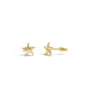 14K Gold Starfish Stud Earrings by Orlina Fine
