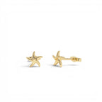 14K Gold Starfish Stud Earrings by Orlina Fine