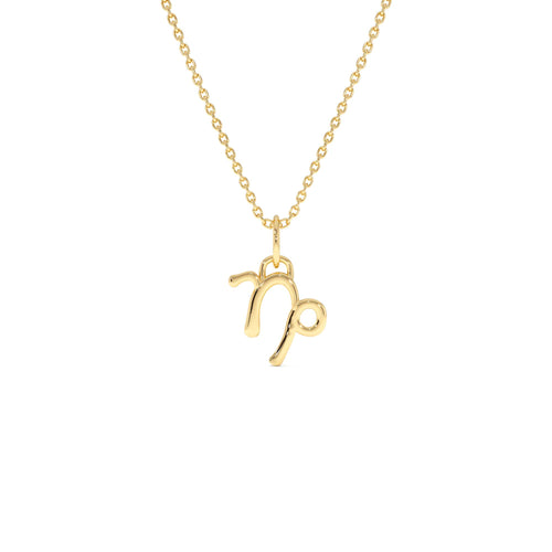 14K Capricorn Zodiac Charm Necklace by Orlina Fine